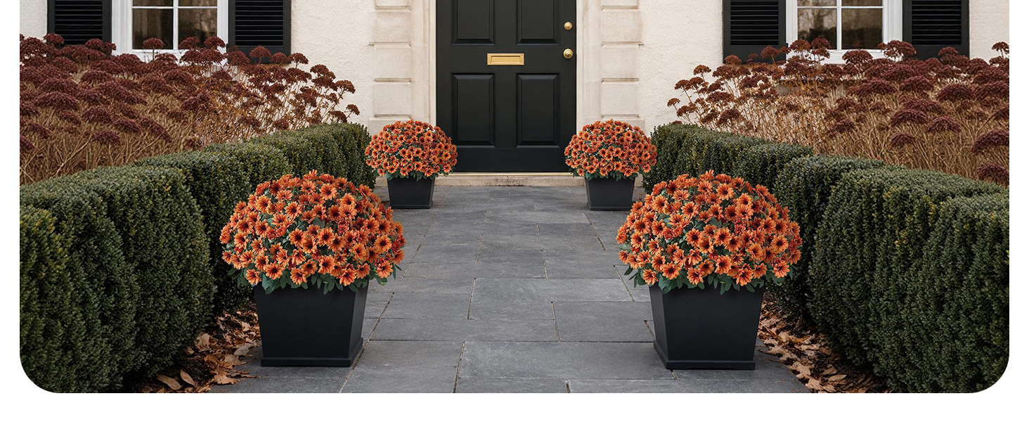 2 Set Artificial Fall Daisy Flowers Topiary for Front Porch