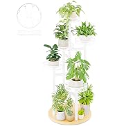 NQW Stand Plants, 5-Tier Metal Plant Stands for Outdoor Indoor Plants,Heavy Duty Flower Pot Stand...