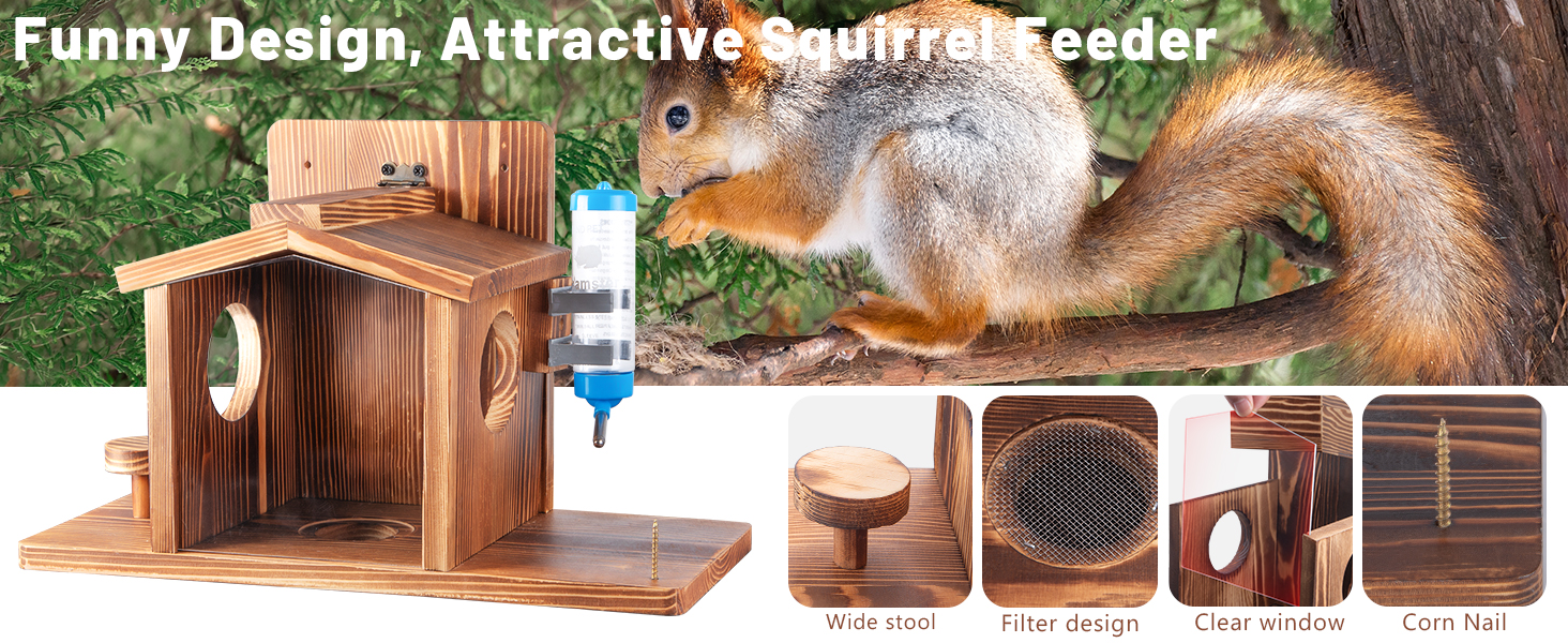 Squirrel Feeders for Outside