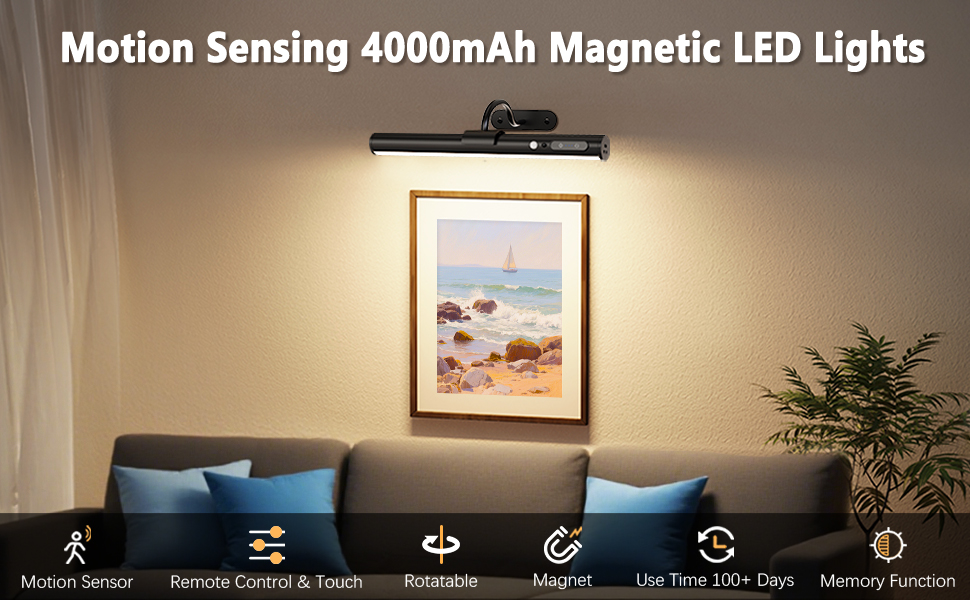 Motion Sensor Battery Operated Picture Light
