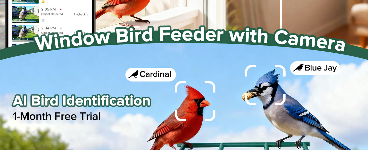 Window Bird Feeder with Camera