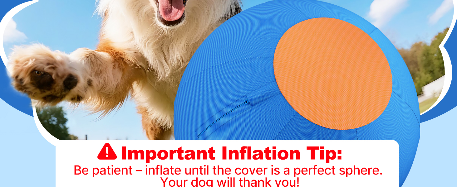 Herding Ball for Dogs