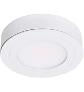 Armacost Lighting 840600 60 watt Dimmable Driver for LED Lighting, with Removable AC Cord, White