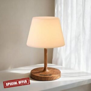 Outdoor Battery Operated Table Lamp