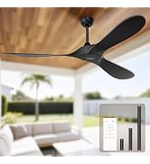 Obabala Ceiling Fan Without Lights,Outdoor Ceiling Fan with Remote, 6-Speed Adjustable Reversible...