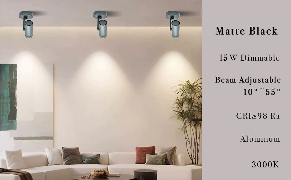 Dimmable and Zoomable ceiling spotlight