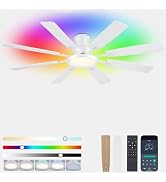 JSAITEE 60Inch Ceiling Fan with Lights Low Profile Flush Mount Black RGB | Indoor Use
