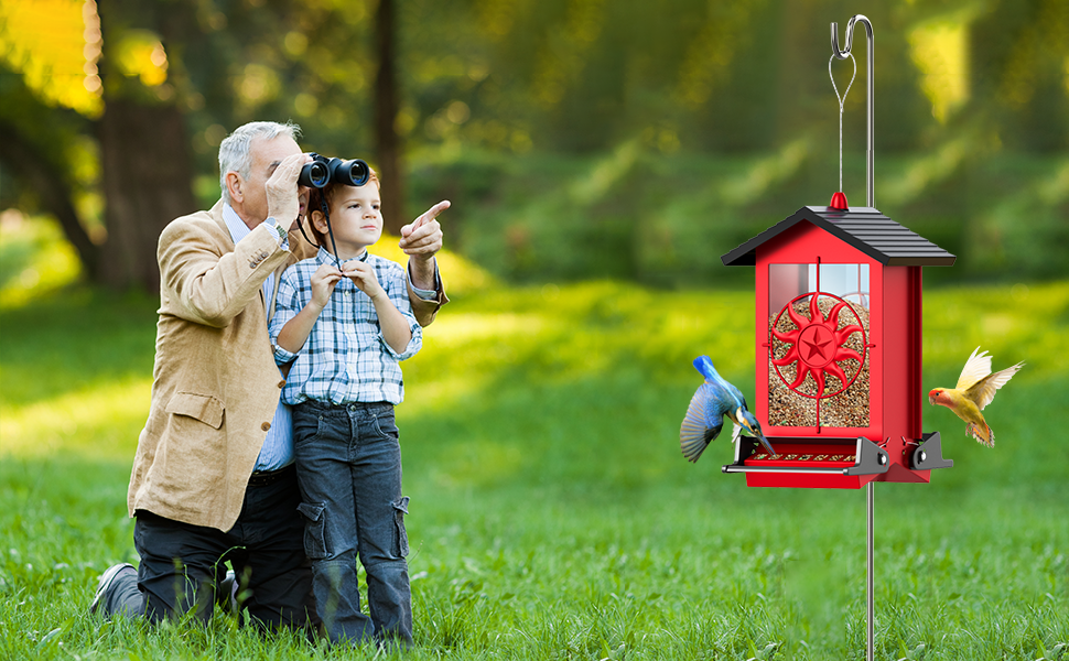 bird feeders for outdoors