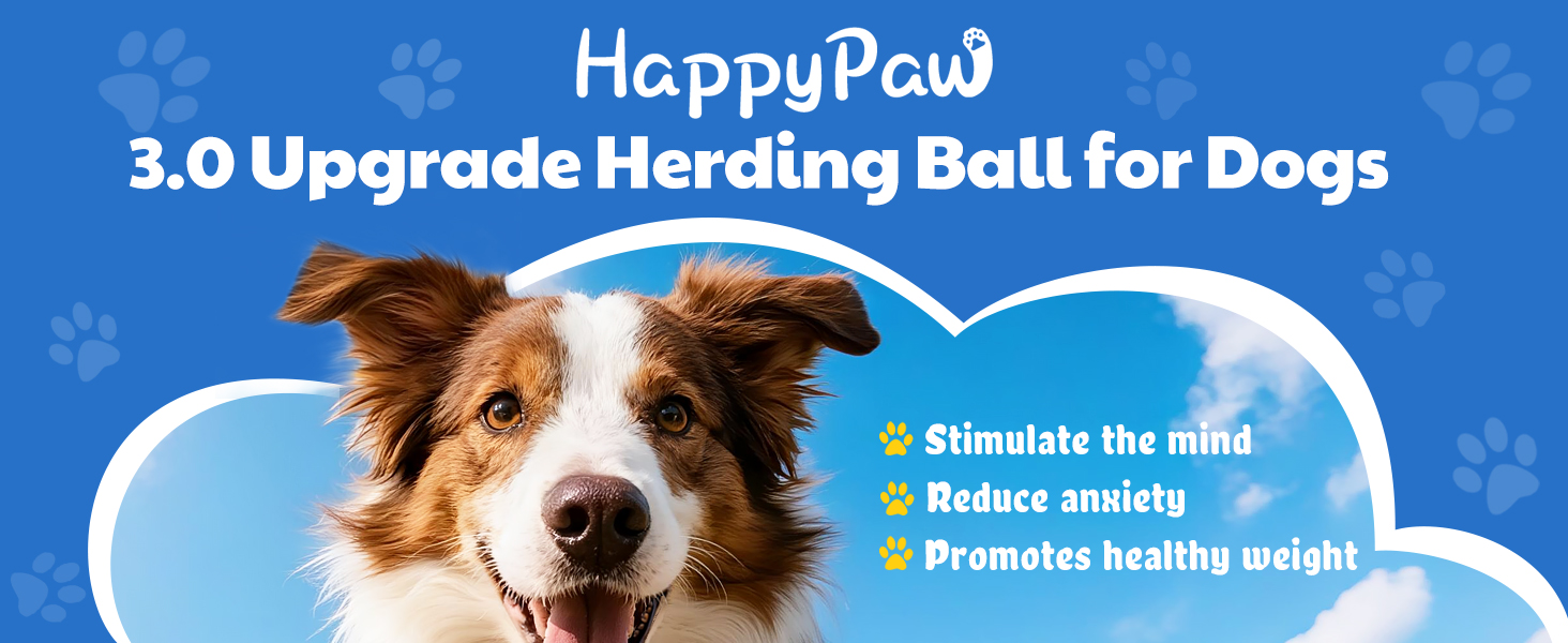 Herding Ball for Dogs