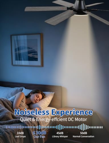 Black Ceiling Fan for Bedroom/Living Room