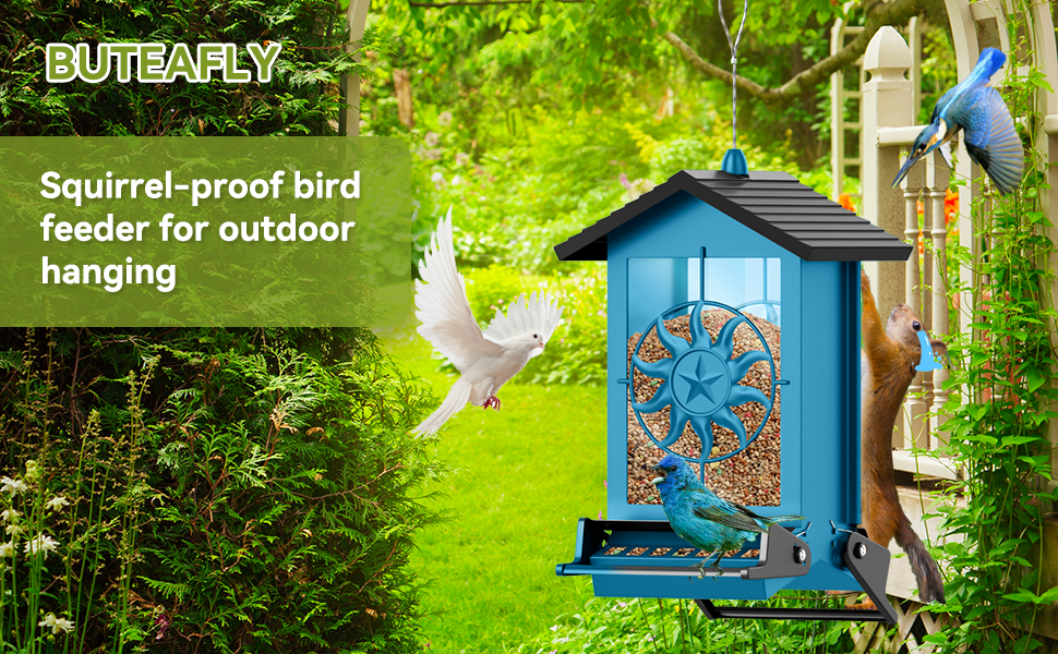 squirrel proof bird feeders