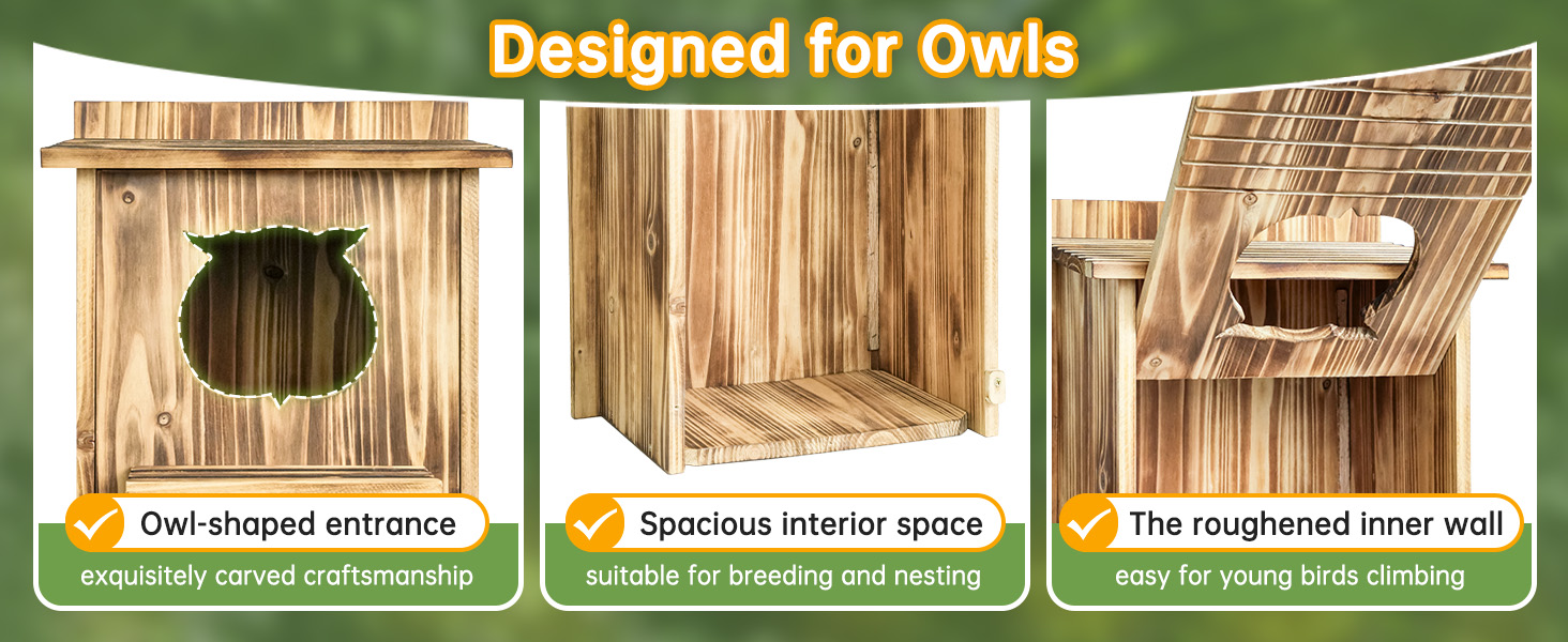 owl box