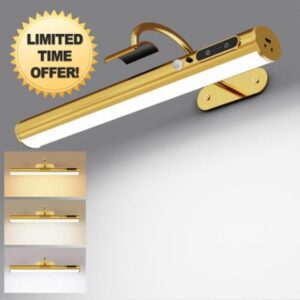 Motion Sensor Battery Operated Picture Light