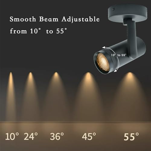 10°-55° Zoom