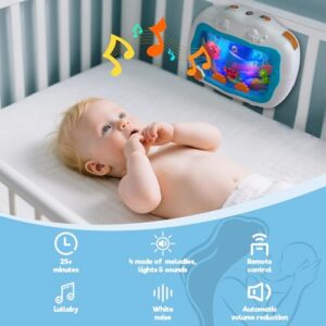 Sleep Soother Aquarium Musical Infant Toy