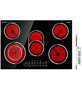 VEVOR Electric Radiant Cooktop, 24in 2 Burners Built-in Electric Stove Top, 1800W Ceramic Top Coo...