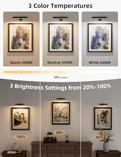 3 Pack Black | 3 Color Temperatures Rechargable Picture Light Battery Operated