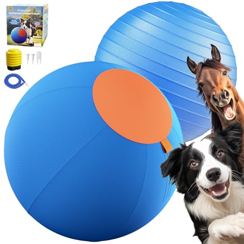 Dog Toy Agility Equipment for Australian Shepherds
