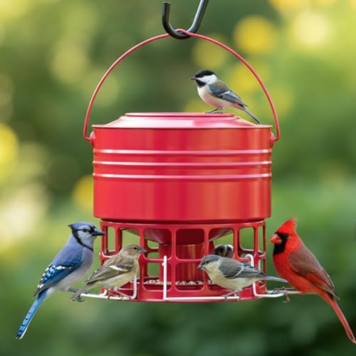 10LB Capacity Squirrel Proof Metal Feeder with 32 Feeding Ports & 3 Perches