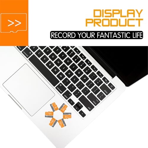 Personal Computer(2-Pack)
