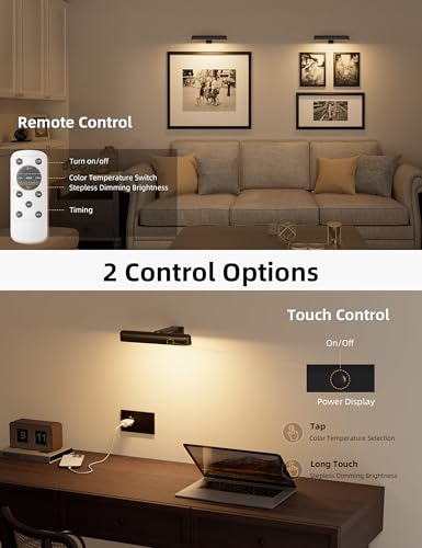 Cordless Picture Light with Remote