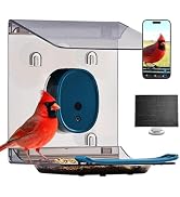 Smart Bird Feeder with Camera Solar Powered,2K UHD Video Live Stream,Easy Set Up,AI Bird Species ...