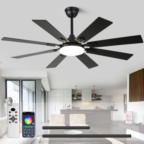 Black Modern Ceiling Fan with 8 Dual Finish Blades