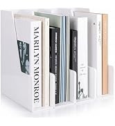 Vertical Magazine File Holder, Black File Organizer Desk Organizer and Storage Bins Holding for M...