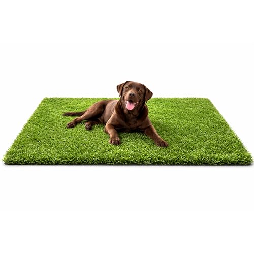 Ideal for Pet Potty Training