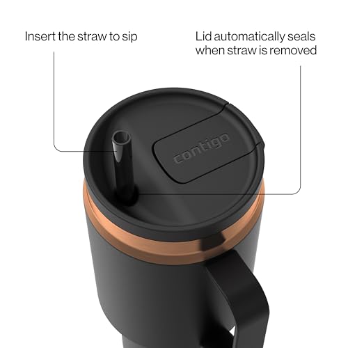 BPA-Free & Lead-Free