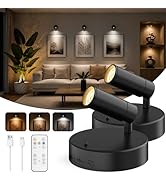 GOODEA Spotlights Indoor with Remote, 3000mAh Rechargeable Battery Plant Spotlight Indoor, Wirele...