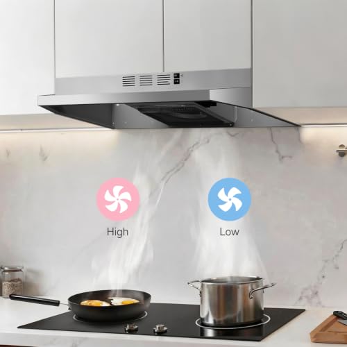 LED Lights (Matte