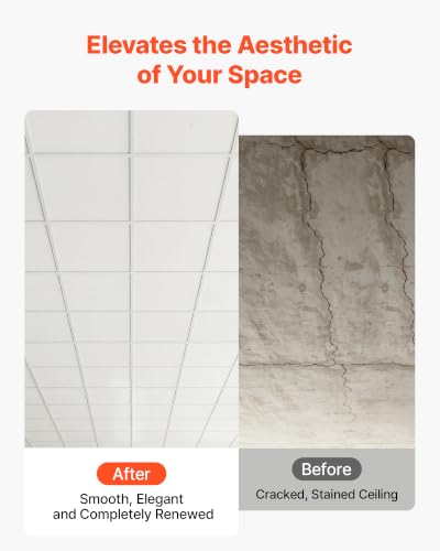 Modern Decorative for Home