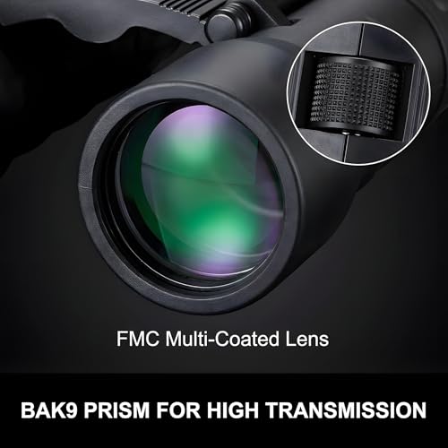 10X Magnification