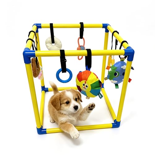 Interactive Enrichment Activity Center for Puppies
