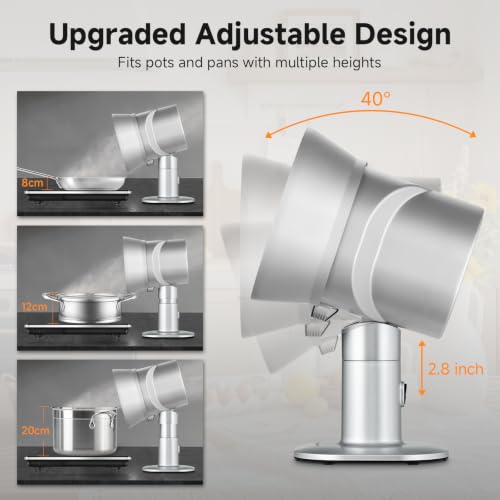 with 10 carbon filters. for indoor BBQ
