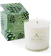 Soap & Paper Factory Roland Pine 9.5 oz Large Soy Candle