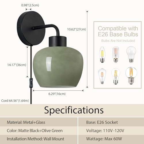 Matte Black Finish | Plug-in Wall Lamp