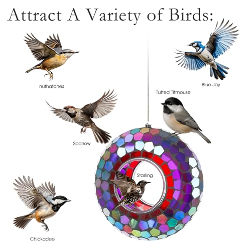 Gift for Bird Lovers