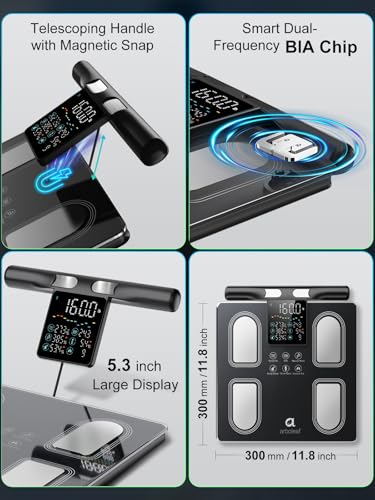 and 400 lb Capacity for Everyday Home Fitness Tracking