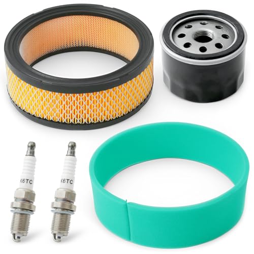 Replace 5205002 12-050-01 1205001 12-050-01-S 47-083-03 47-883-03-S1 w/ XC12YC Spark Plugs