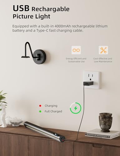 Cordless Rechargeable Picture Light