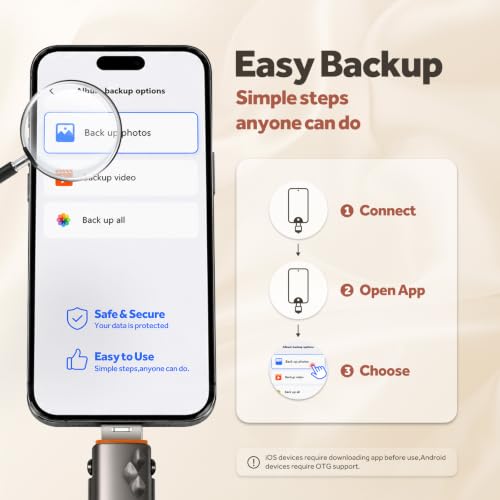 Portable Phone Storage