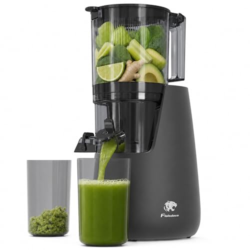 6" Extra Large Feed Chute Slow Masticating Juicer Machines