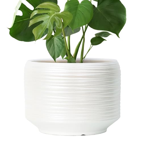Modern Decorative Planter for Patio