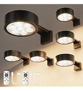 VOLISUN Picture Lights for Wall, 4000mAh Rechargeable Picture Light Battery Operated, 3 Color Tem...