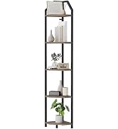 Corner Bookshelf