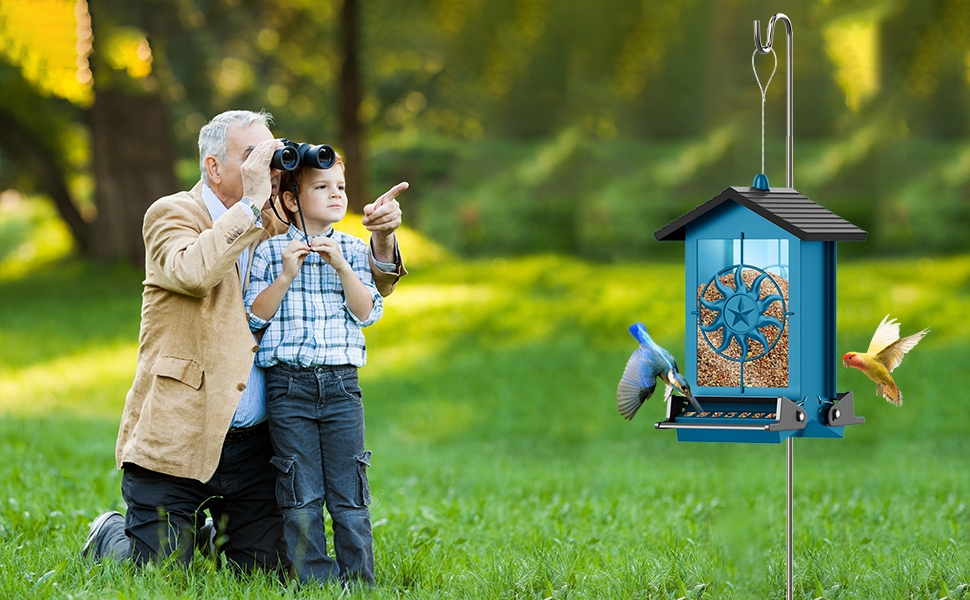 bird feeders for outdoors