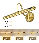VOLISUN 16 inch Picture Lights for Wall, Rechargable Picture Light Battery Operated, 3 Color Temp...