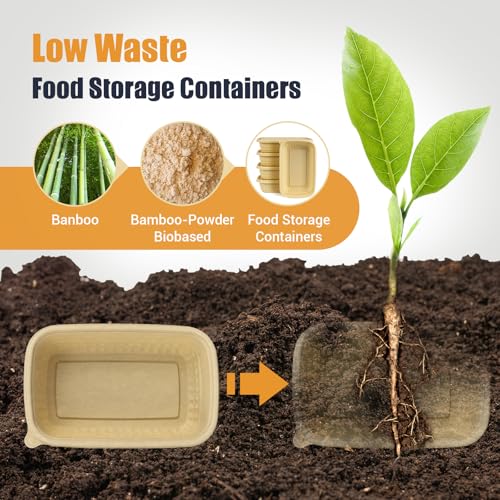 Safe for Microwave Freezer Dishwashe